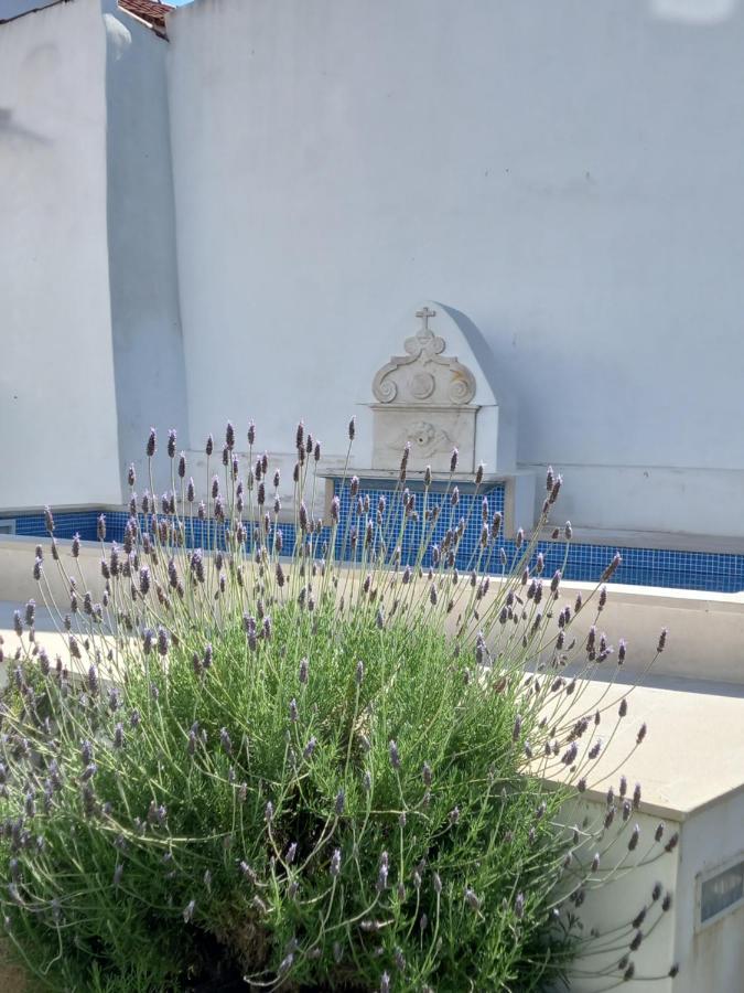 Pateo Dos Oliveira - Casa Da Cocheira Leilighet Évora Eksteriør bilde